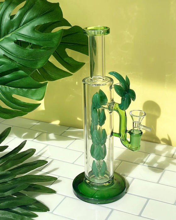 Canna Style TERRANIUM PLANT Bong