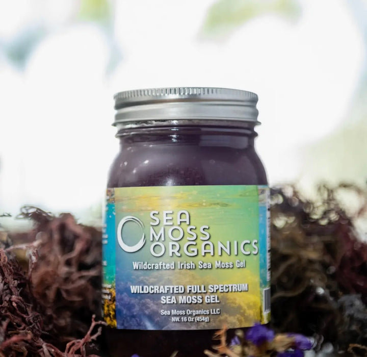 Wildcrafted Full Spectrum Seamoss Gel 16 oz Fresh Made Daily by Sea Moss Organics LLC