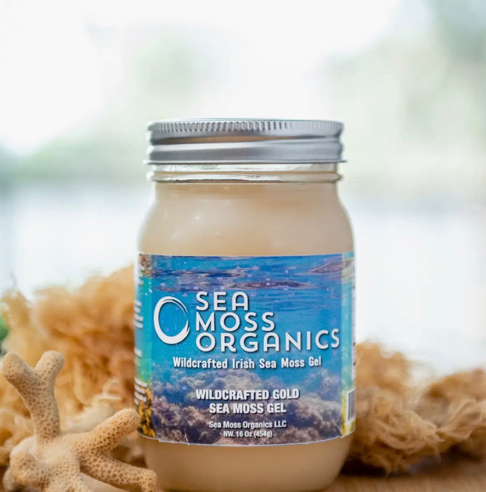 Wildcrafted Gold Sea Moss Gel 16 oz Fresh Made Daily by Sea Moss Organics LLC