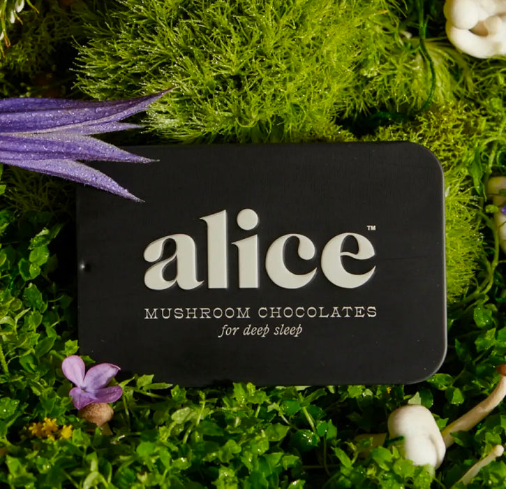 Alice Mushrooms Nightcap — Mushroom Chocolates For Deep Sleep