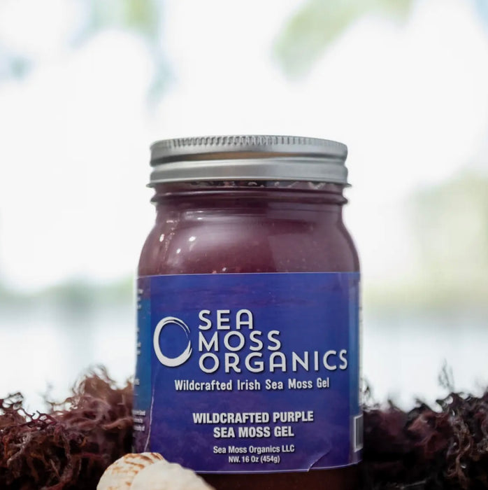 Wildcrafted Purple Sea Moss Gel 16 oz Fresh Made Daily by Sea Moss Organics LLC