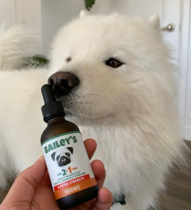 Bailey's Extra Strength 2:1 CBD & CBG Oil For Dogs 900mg