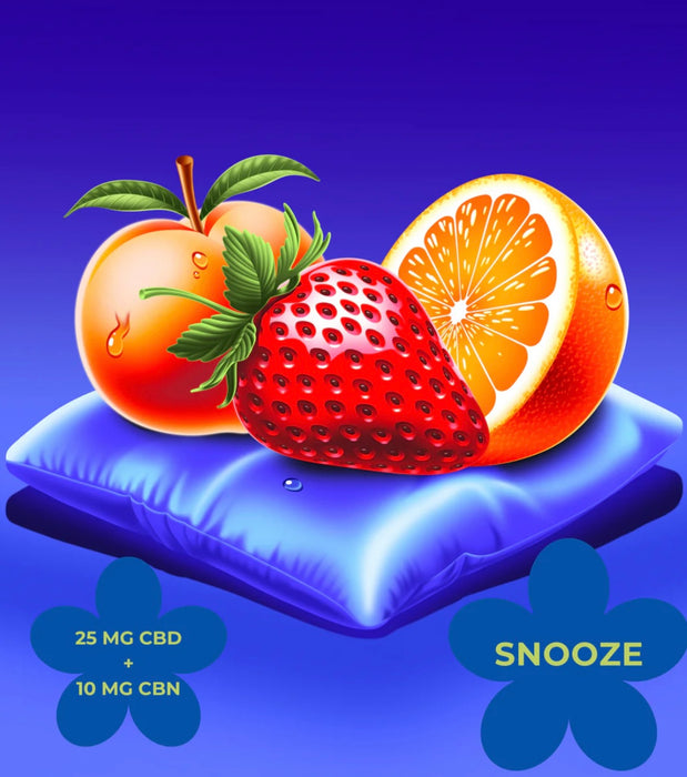 GO EASY SNOOZE GUMMIES - 25MG CBD + 10MG CBN (10 PACK)