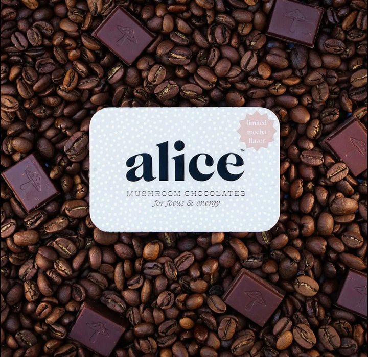 Alice Mushrooms Limited Edition Flavor: Mocha Brainstorm — Focus & Energy
