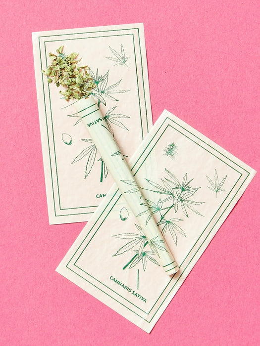 Field Trip Botanical Pre-Roll Cones