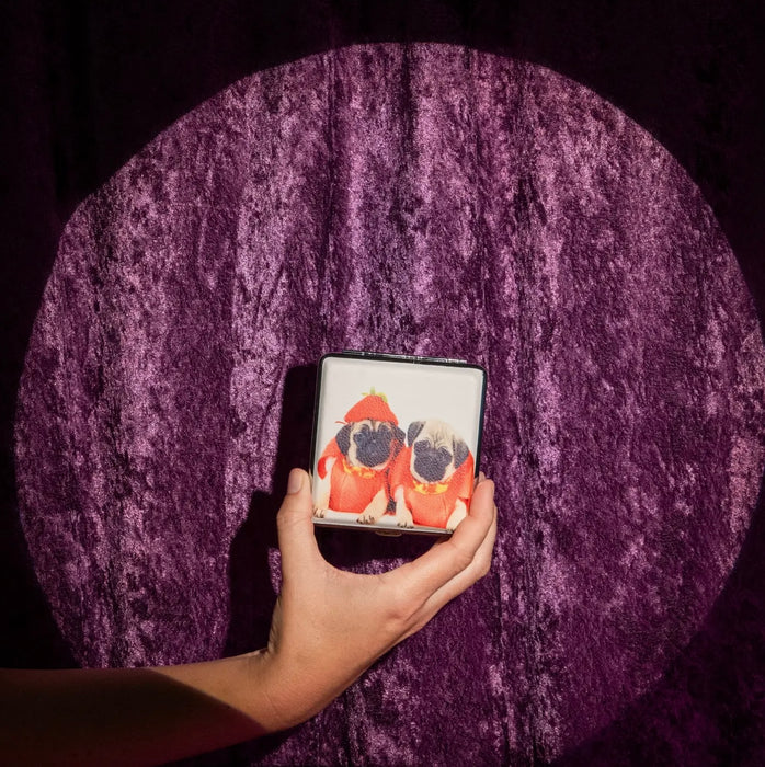 BURNING LOVE Pumpkin Pugs Cig Case