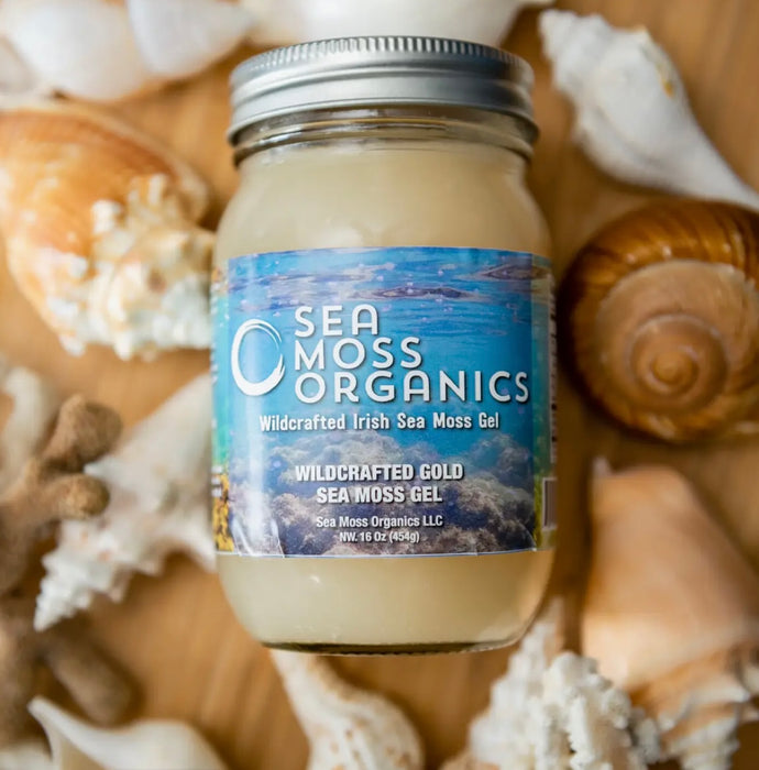 Wildcrafted Gold Sea Moss Gel 16 oz Fresh Made Daily by Sea Moss Organics LLC