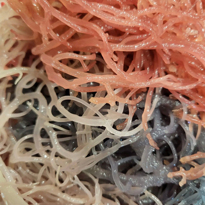 Wildcrafted Full Spectrum Seamoss Gel 16 oz Fresh Made Daily by Sea Moss Organics LLC