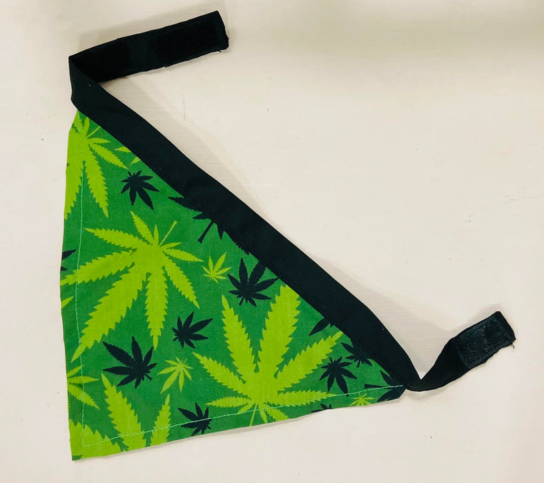 Soleil Bris PotLeaf Green on Green Doggie Scarf