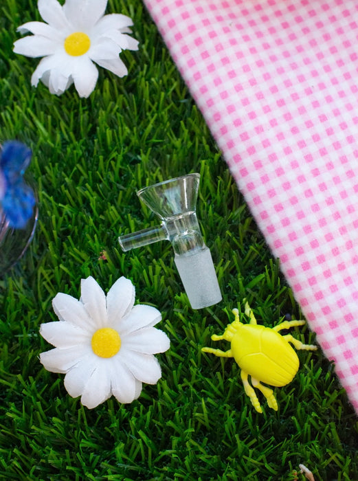 BURNING LOVE Butterfly Garden Cloche