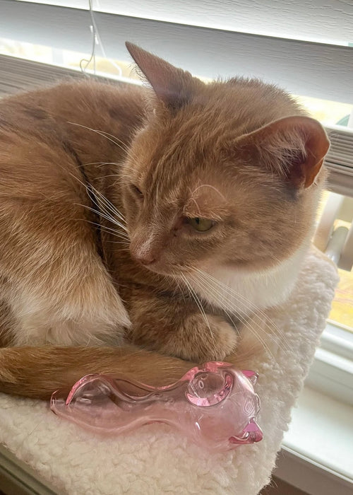 CANNA STYLE CAT EARS PIPE - pink