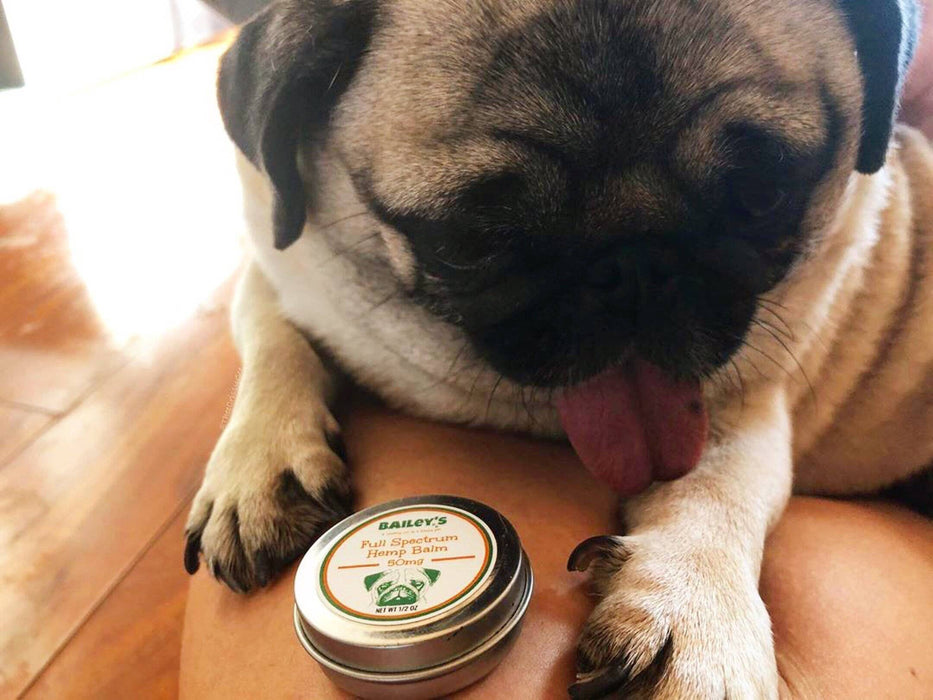 Bailey's Hemp Infused Paw & Nose Balm w/ CBD 200mg 2oz.