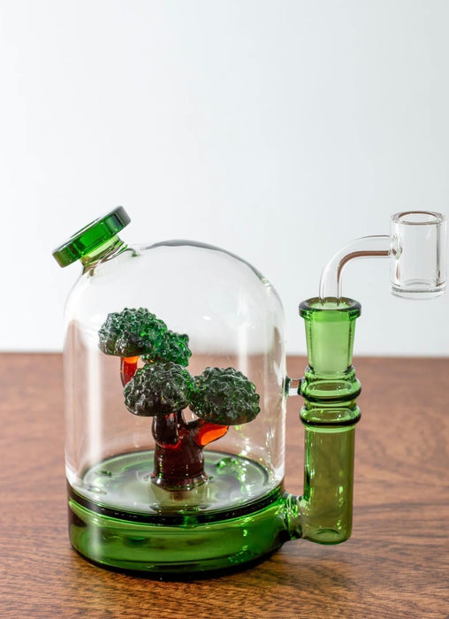CANNA STYLE BONSAI TREE RIG