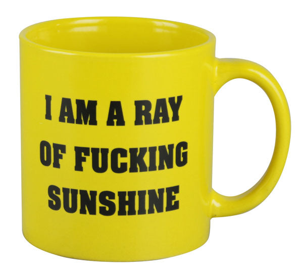 I Am A Ray Of F*cking Sunshine Mug | 22oz