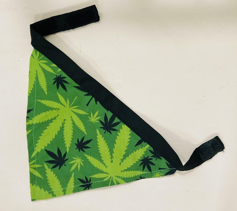 Soleil Bris PotLeaf Green on Green Doggie Scarf