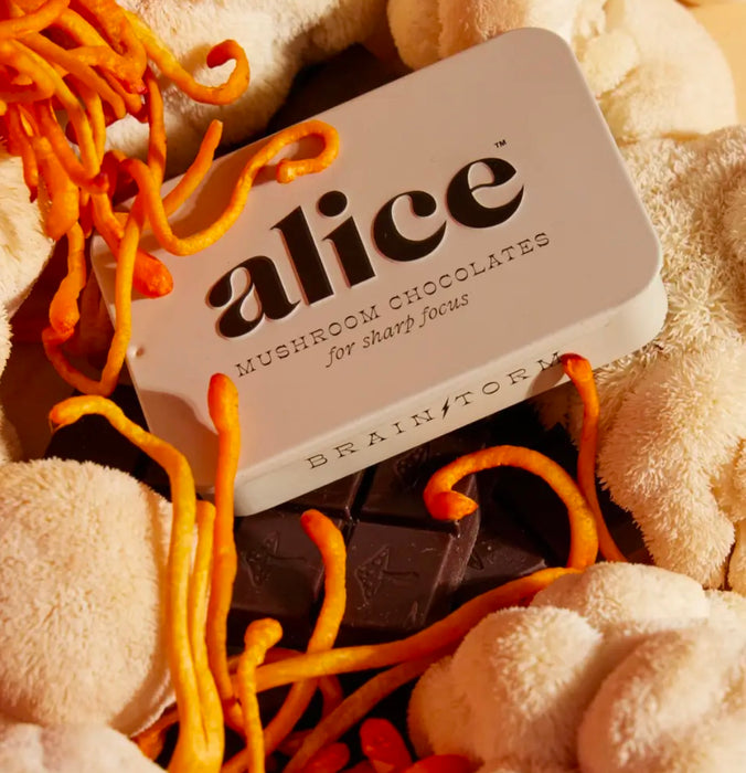Alice Mushrooms Brainstorm — Mushroom Chocolates For Focus