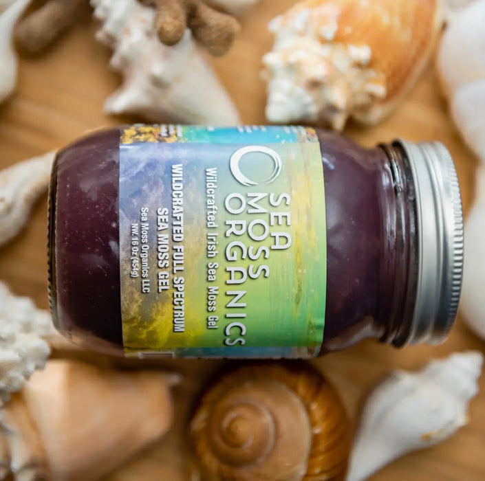 Wildcrafted Full Spectrum Seamoss Gel 16 oz Fresh Made Daily by Sea Moss Organics LLC