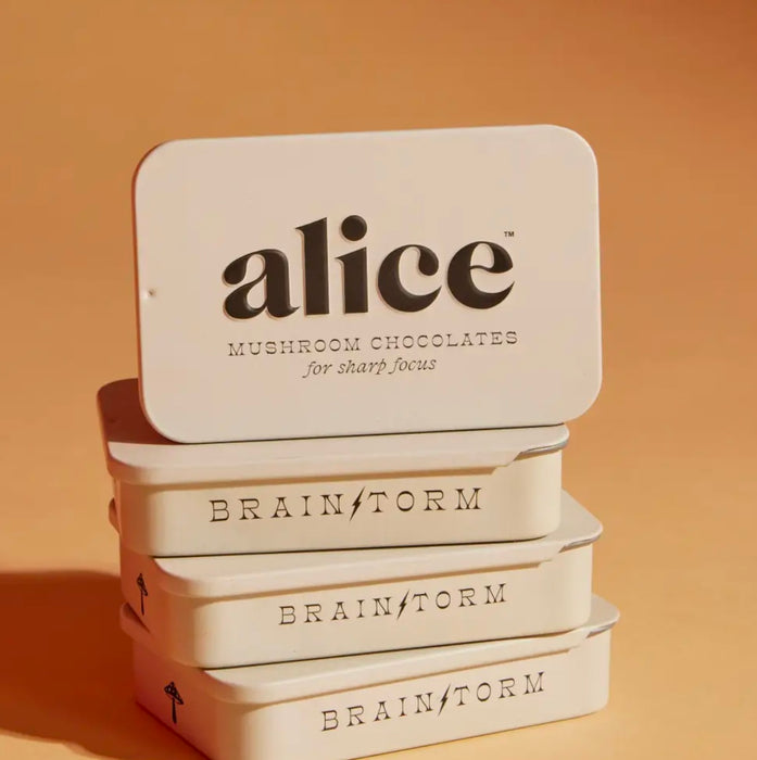 Alice Mushrooms Brainstorm — Mushroom Chocolates For Focus
