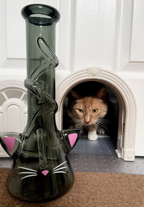 CANNA STYLE CAT BONG