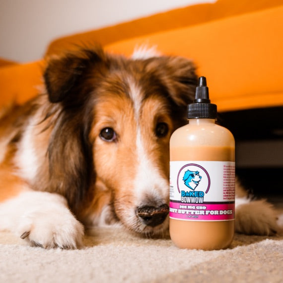 Eighty Six Group Baked BowWow - Peanut Butter Squeeze Bottle 200MG - CBD Dog Treats