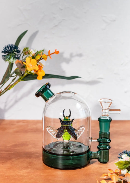 CANNA STYLE BEETLE CLOCHE BONG