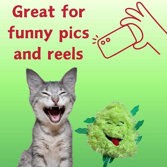 PAW:20 Bud Jr. Catnip Cat Toy | 3"