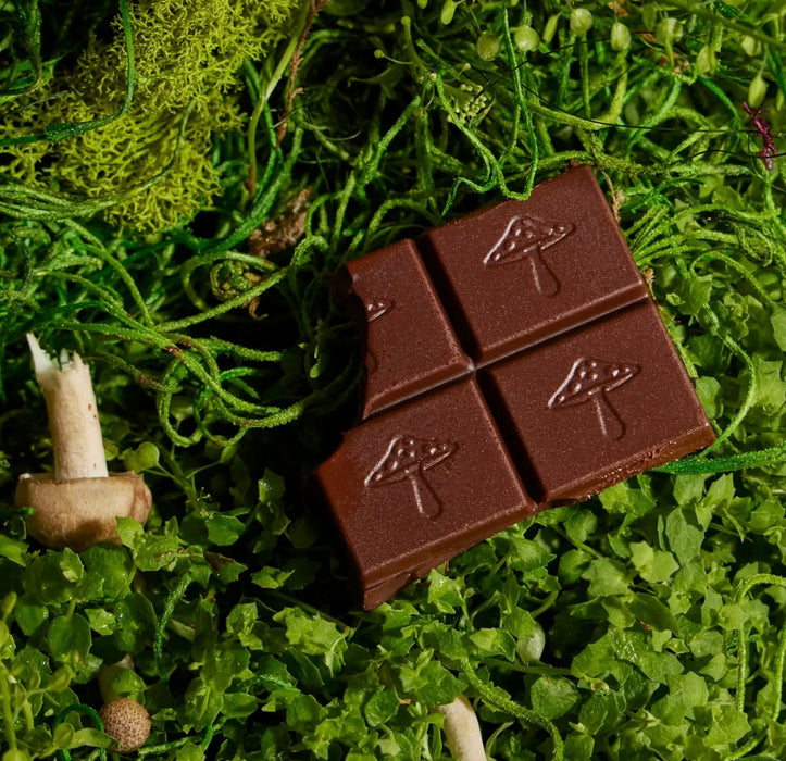 Alice Mushrooms Limited Edition Flavor: Mocha Brainstorm — Focus & Energy