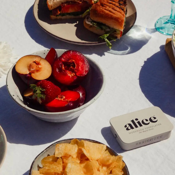 Alice Mushrooms Brainstorm — Mushroom Chocolates For Focus