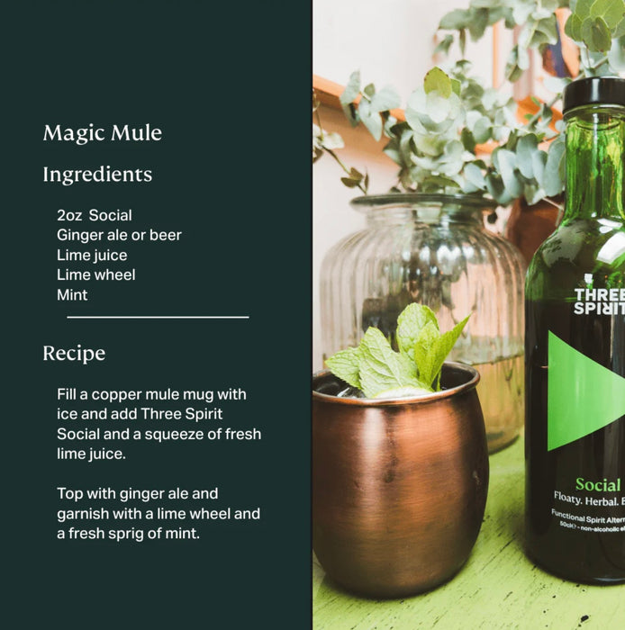 Three Spirit Social Functional Non Alcoholic Spirit