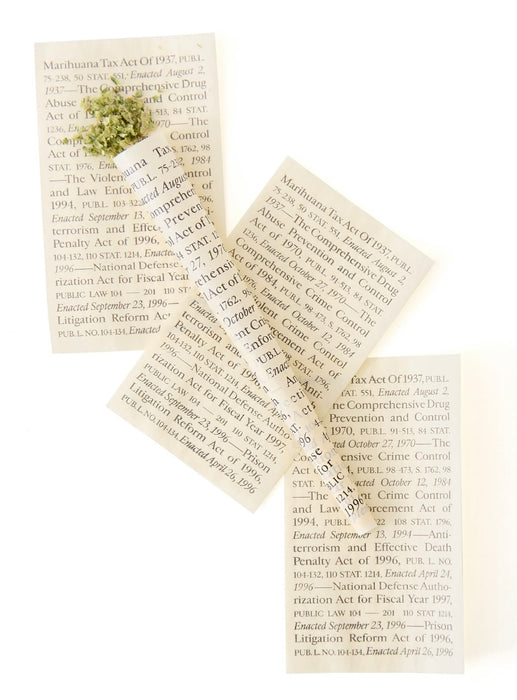 Field Trip Burn Book Pre-Roll Cones