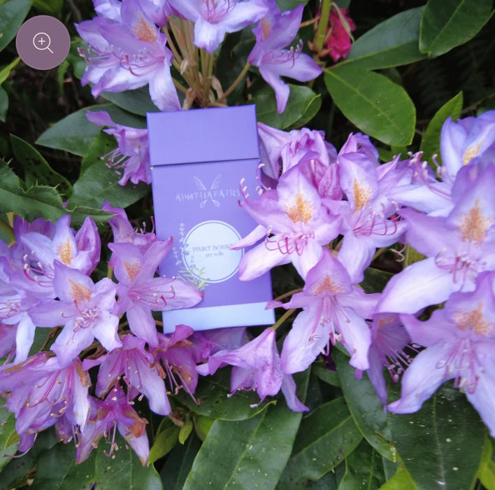 Apothafairy  FAIRY BERRY Herbal Pre Rolls