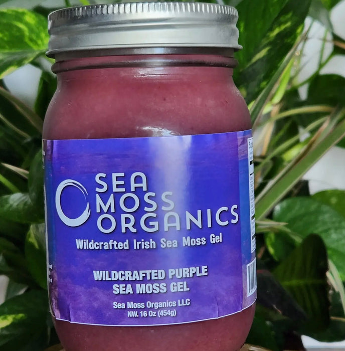 Wildcrafted Purple Sea Moss Gel 16 oz Fresh Made Daily by Sea Moss Organics LLC