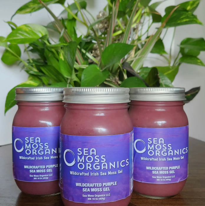 Wildcrafted Purple Sea Moss Gel 16 oz Fresh Made Daily by Sea Moss Organics LLC