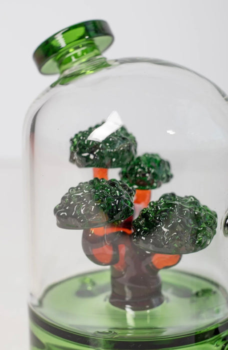 CANNA STYLE BONSAI TREE RIG