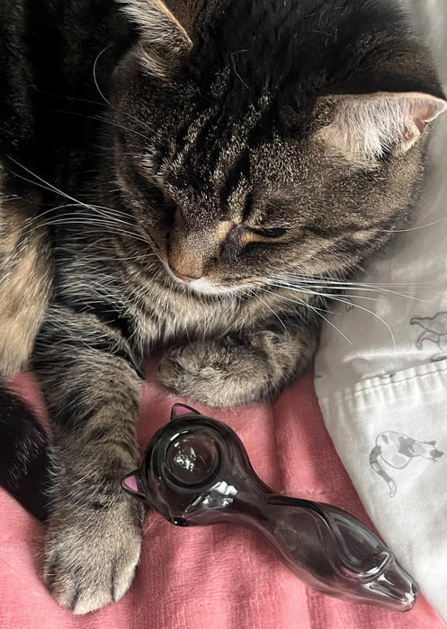 CANNA STYLE CAT EARS PIPE - BLACK
