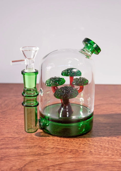 CANNA STYLE BONSAI TREE BONG