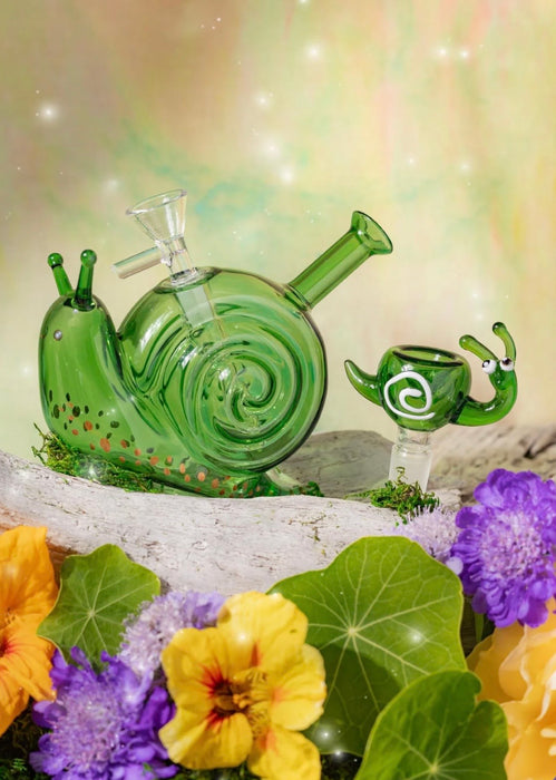 CANNA STYLE SNAIL BOWL